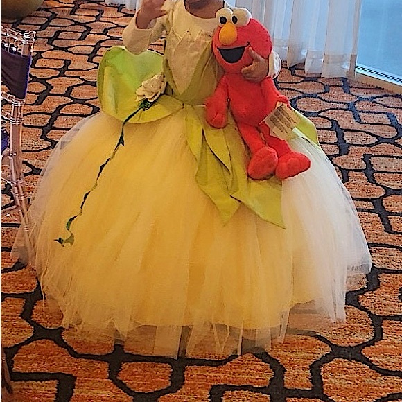 Princess Tiana and Frog Dress, Tiana Costume for Birthday, Disney